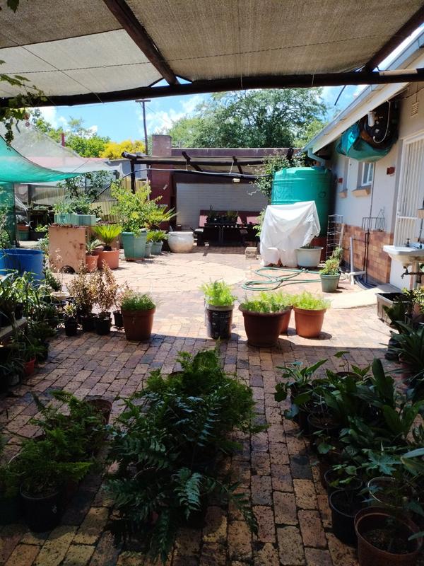 To Let 3 Bedroom Property for Rent in Sasolburg Free State